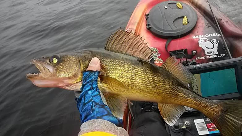 Walleye Fishing: A Big Spin on the Big Water by Keith Jackson – Great Lakes  Angler