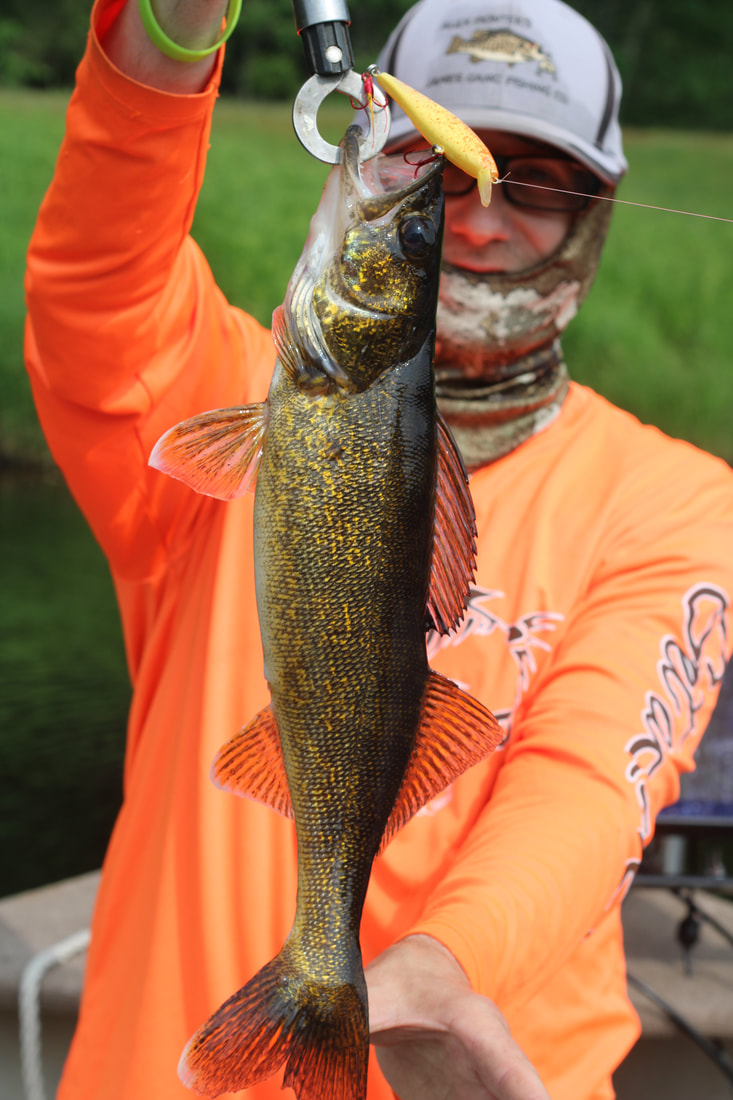 The Erratic Action Of This Blade Bait Drives Smallmouth Wild - Everything  Smallmouth